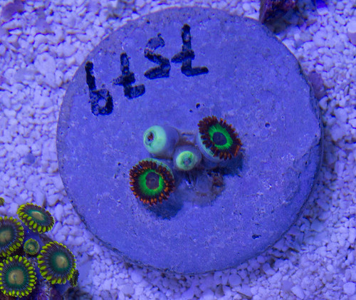 15410442827_4c763f8892.jpg