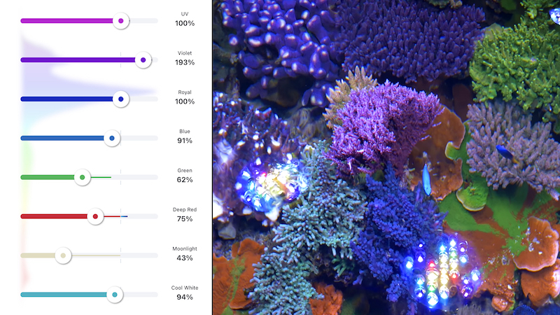 reefbuilders.com