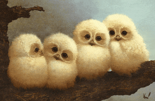 thursday GIF