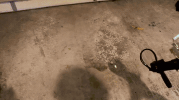 200.gif
