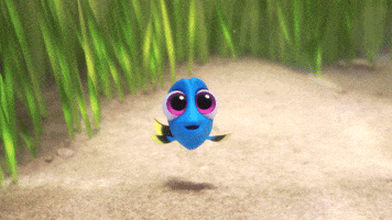 finding dory GIF by Disney/Pixar's Finding Dory