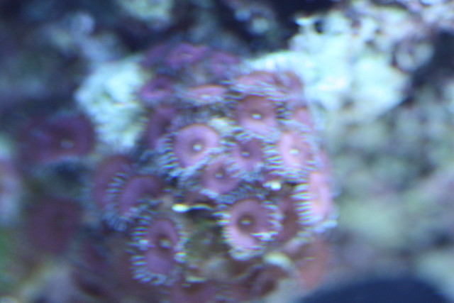 8678972809_31b05d89aa_z.jpg