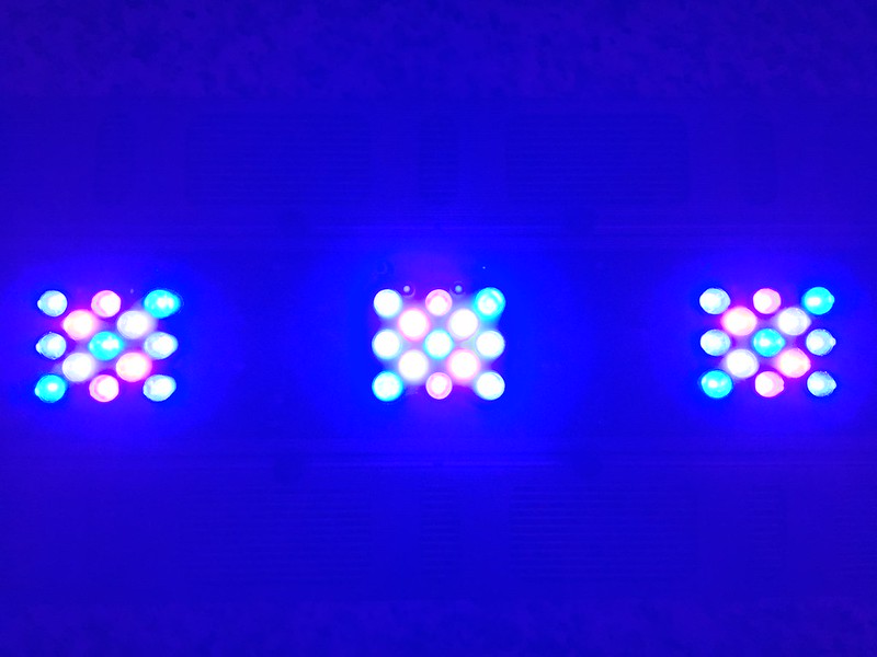 23719197644_af60a0a615_c.jpg