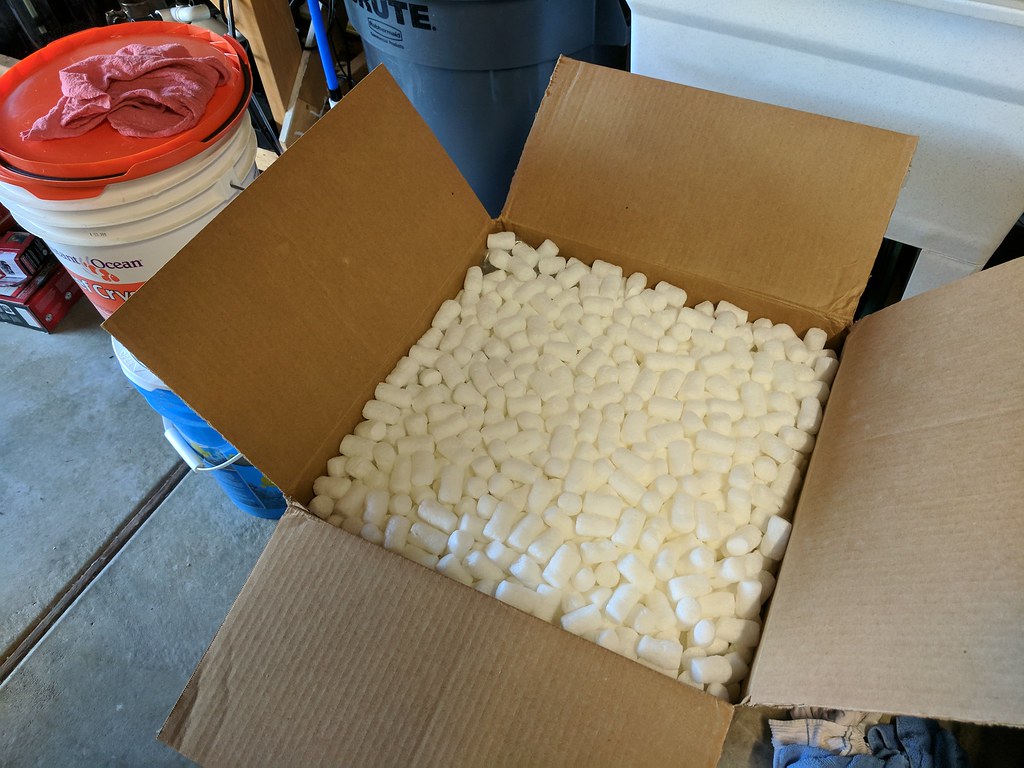 36655194174_31372d1ba8_b.jpg