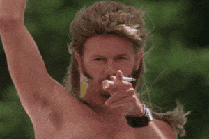 brother GIF