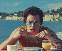 Watermelon Sugar GIF by Harry Styles
