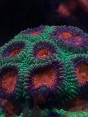 853086-46b00eacd0b6fe2f8fc116d5f44777f0.jpg
