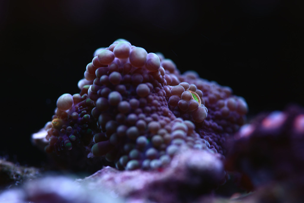 15849609025_9f54062e69_b.jpg