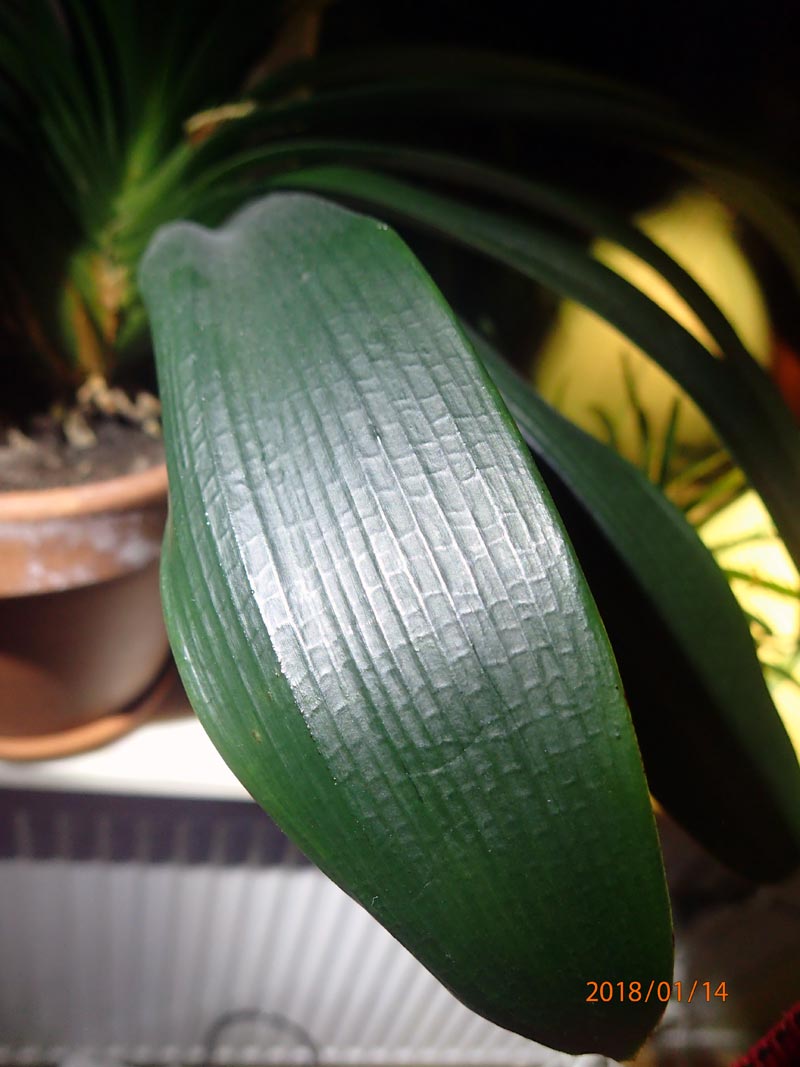 test1-jpg.652031