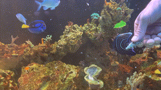 timmyfeeding-092522-gif.2841115