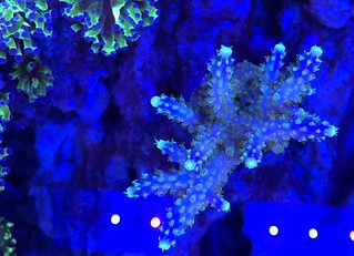 39718827712_a42d061007_n.jpg