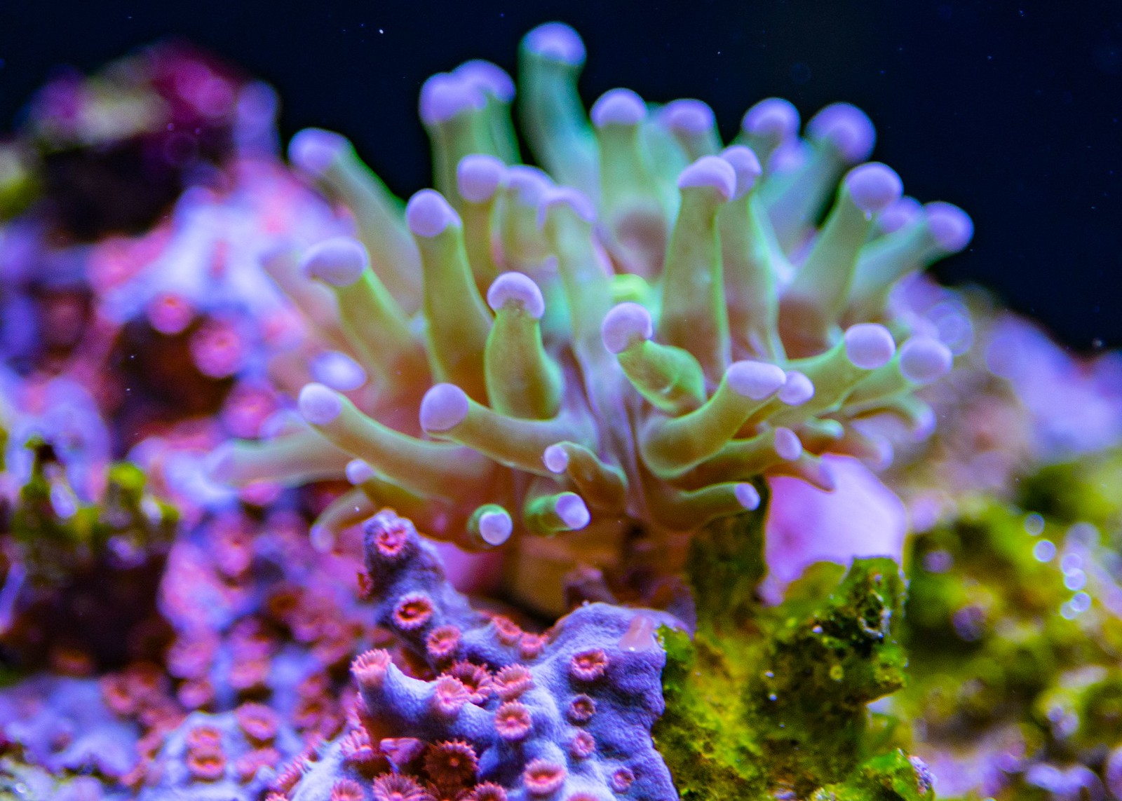 50192454558_ed14e45bc5_h.jpg