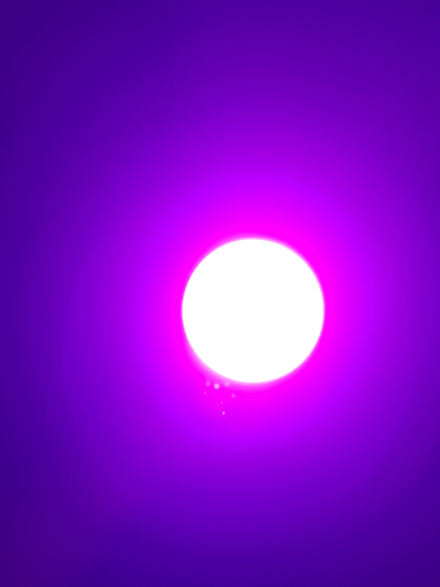 35389135494_112c27cb1f_k.jpg