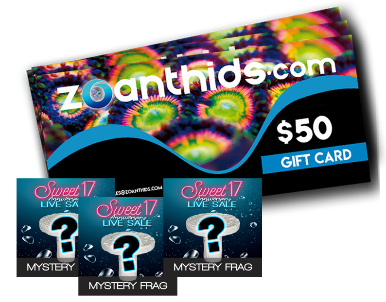 Multiple-Prizes.jpg