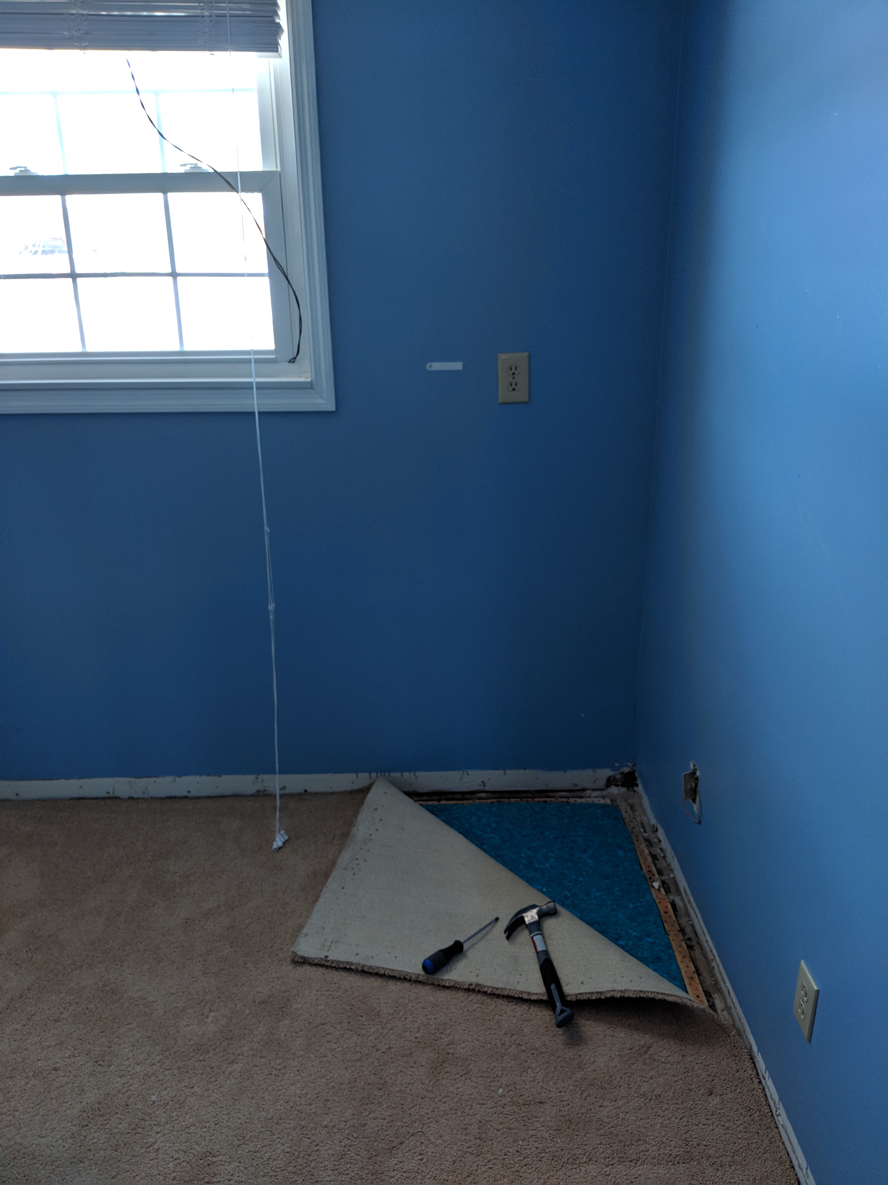 IMG-20190202-144454.jpg