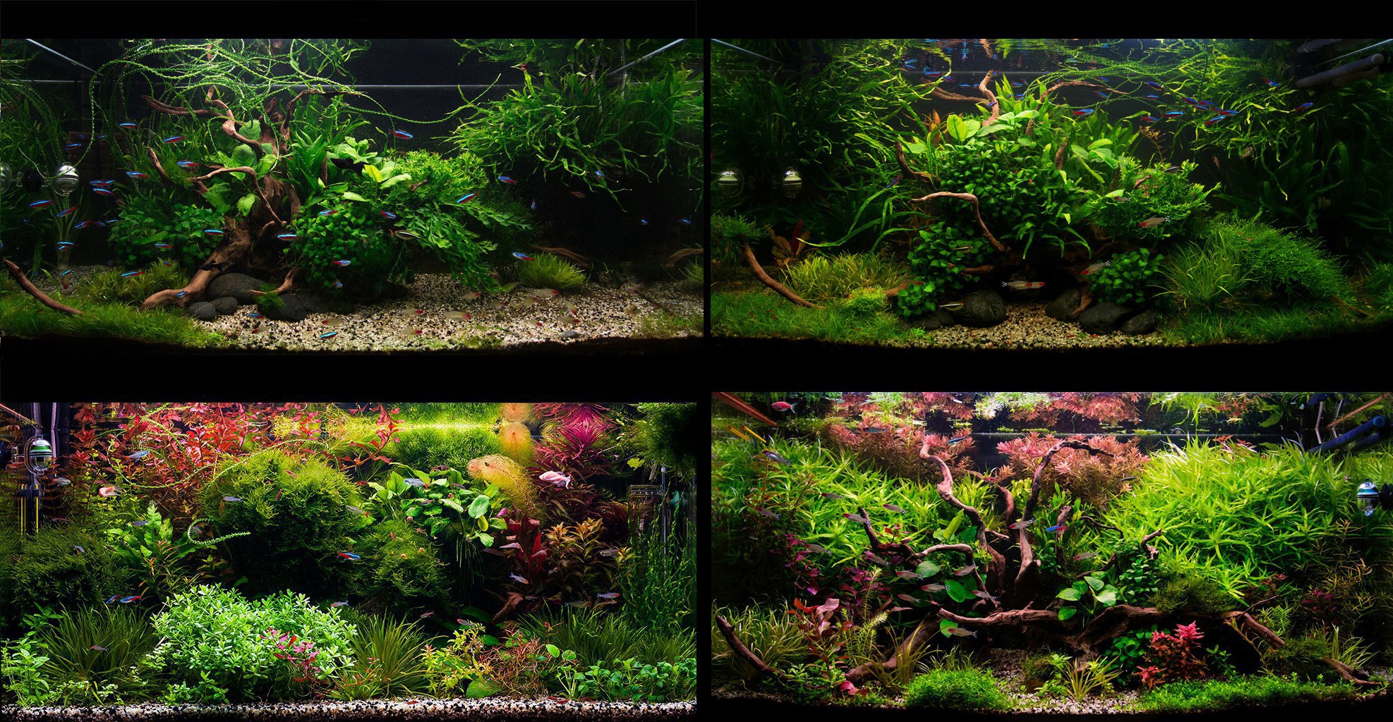 elRHb44lBmI.jpg