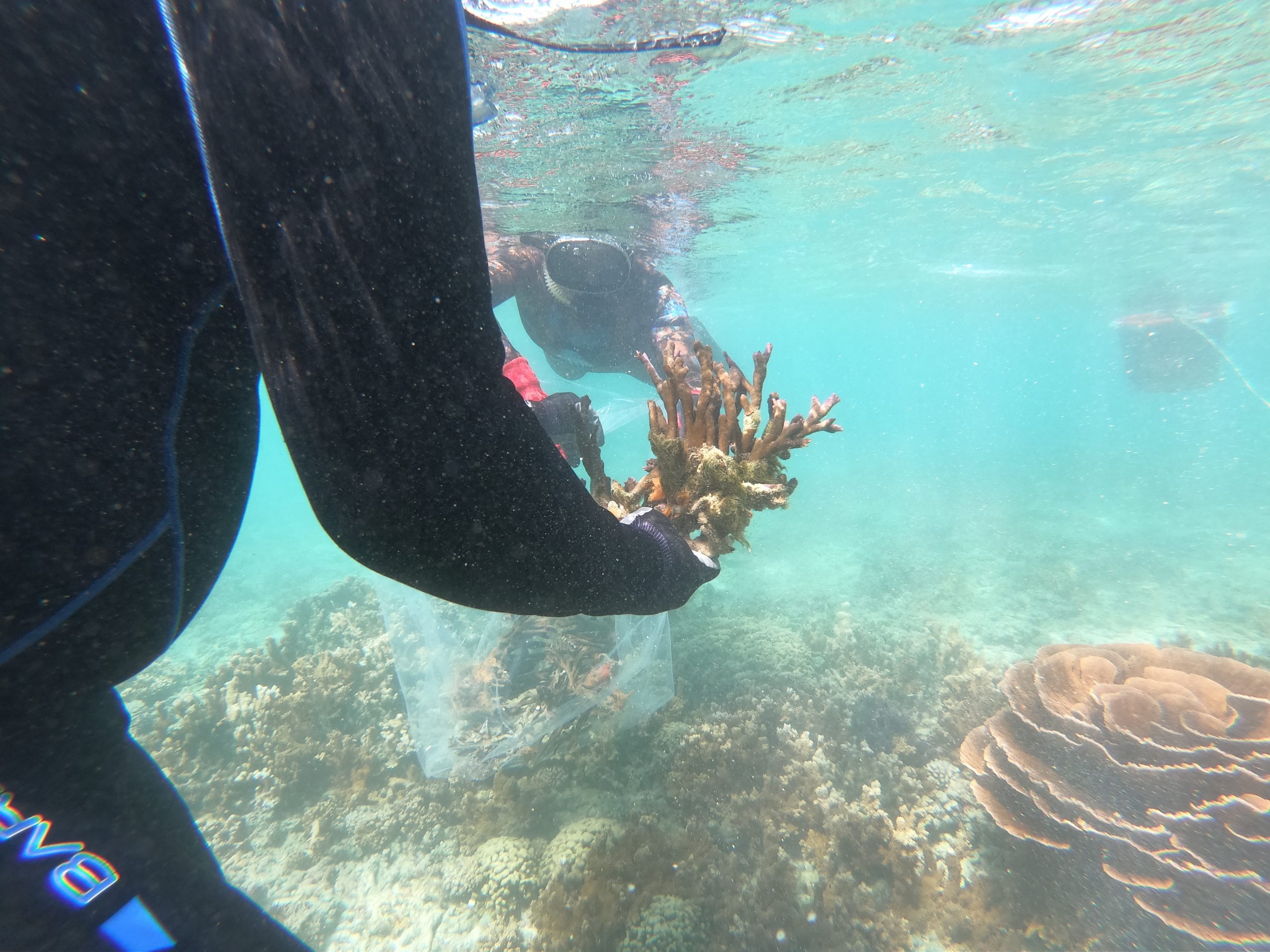 dlnr.hawaii.gov