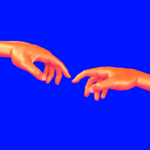 giphy.gif