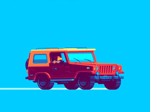 giphy.gif