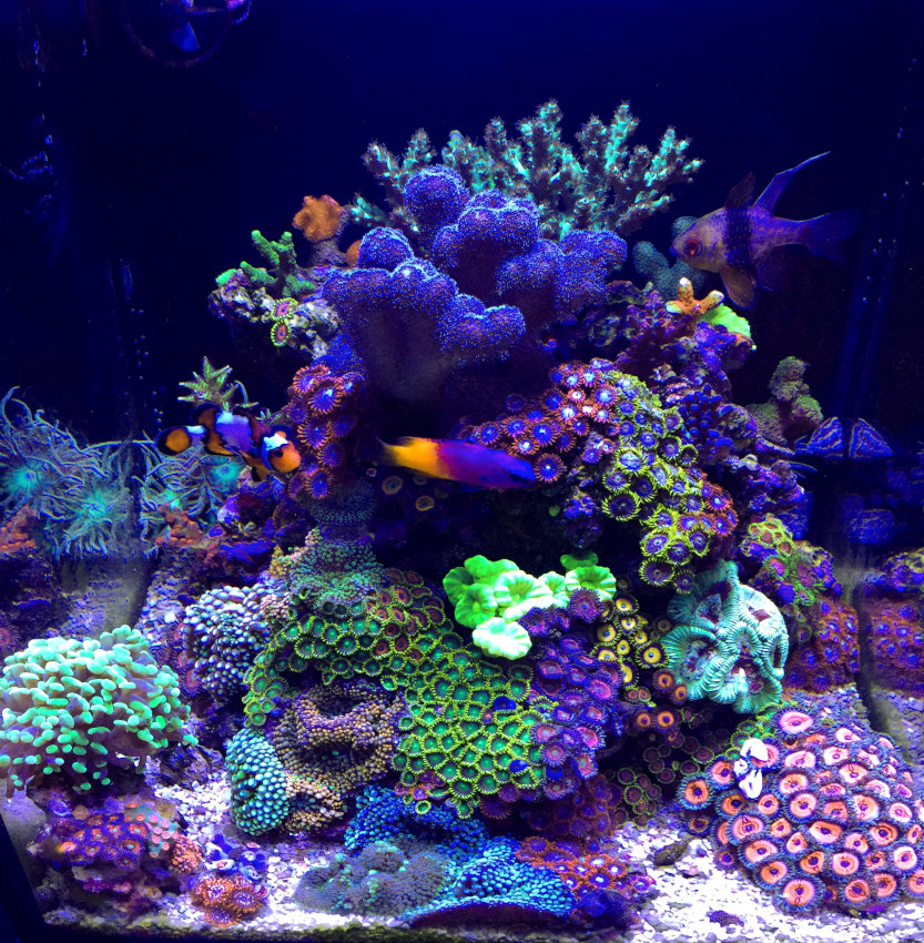 fts-5-15-18.jpg