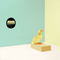 get paid free money GIF by Fragmento Universo
