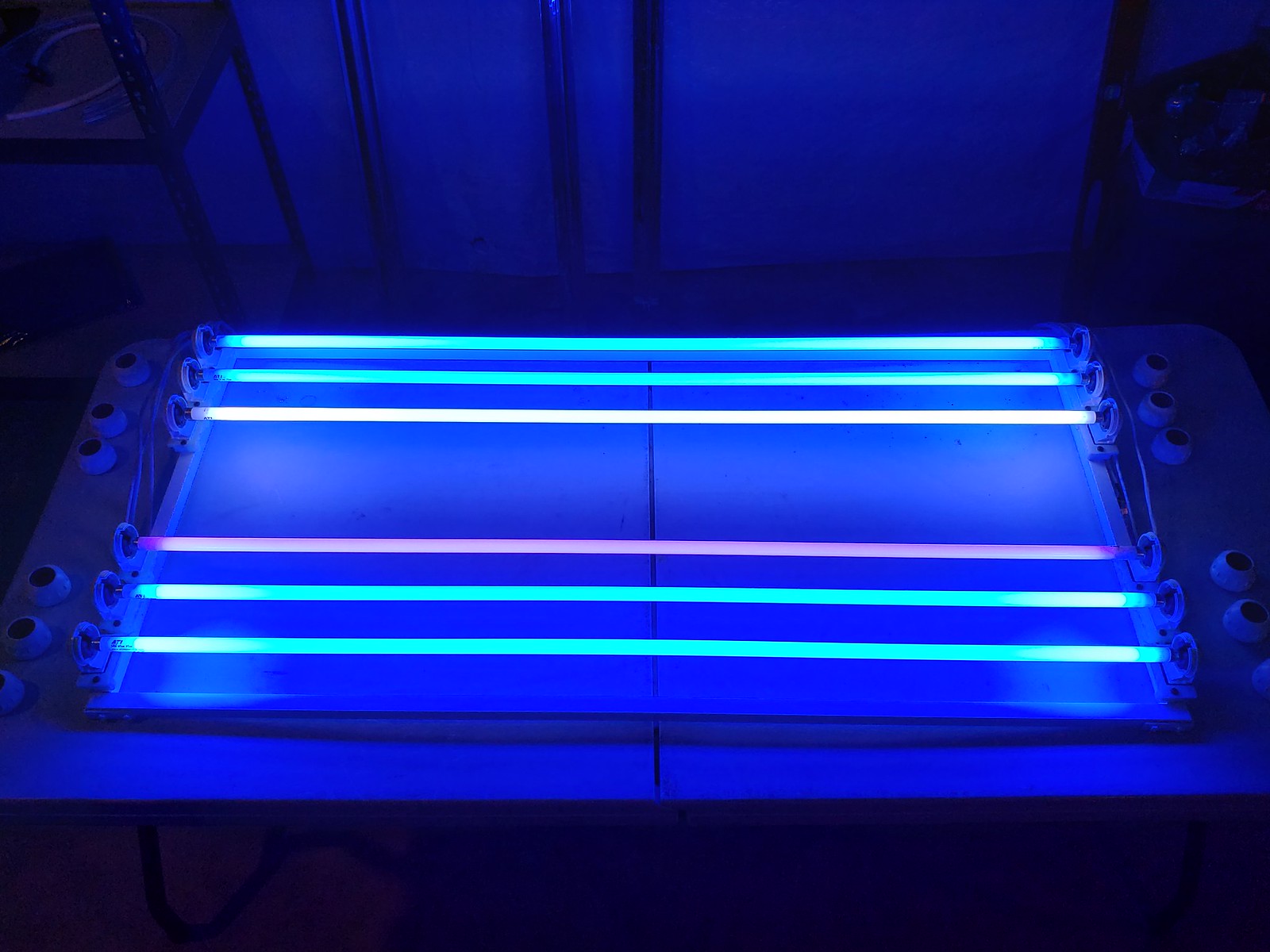 48796457986_917d925e08_h.jpg