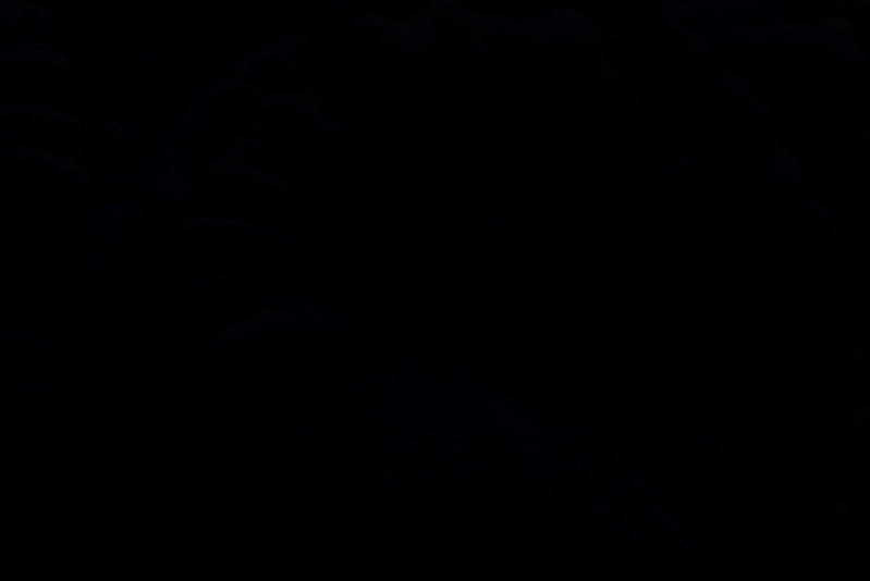 13631369574_e94ff193e4_c.jpg