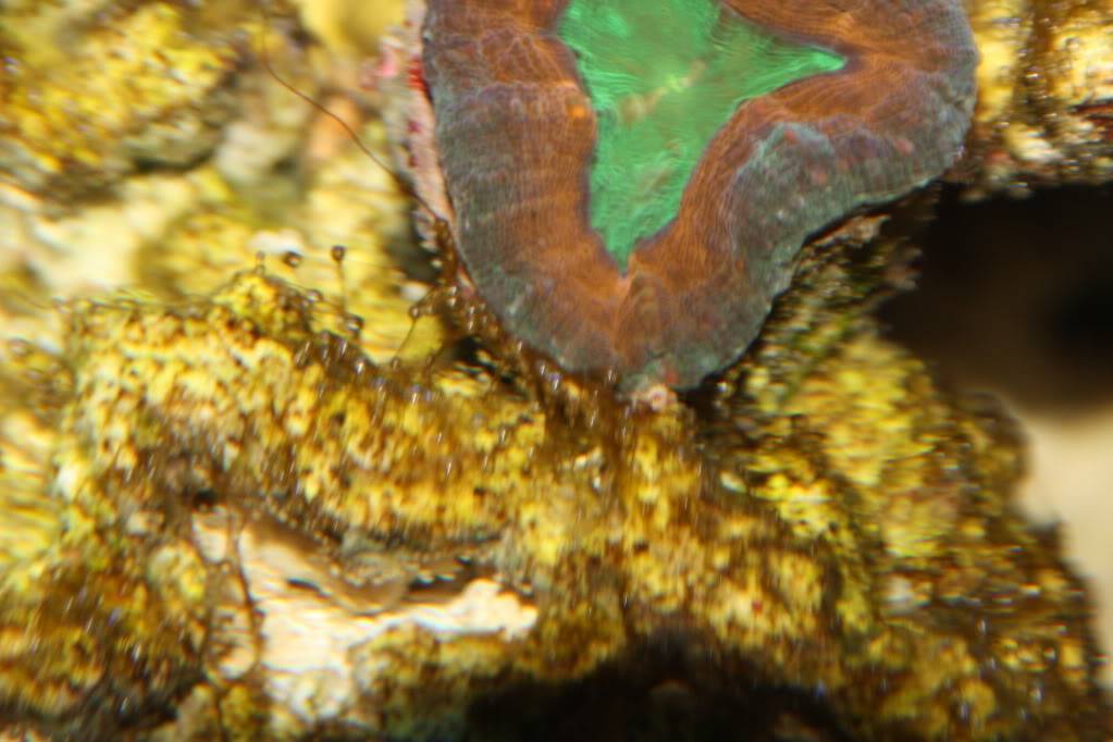 aquariumstoredepot.com