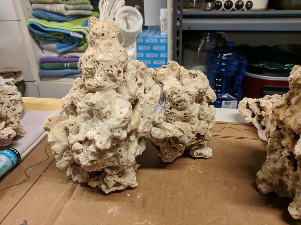 37682693642_fffa379848_b.jpg