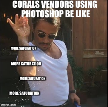 1o4he0.jpg