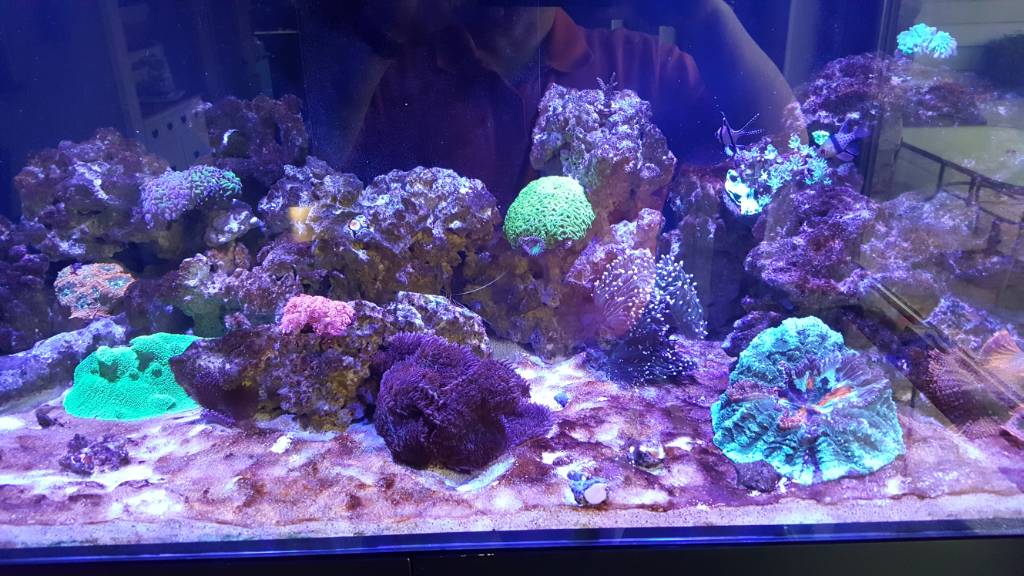 20180302_165436-jpg.688564