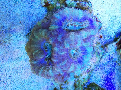 202849-5a3e36264c4d653c1ffa58d56f48ea1d.jpg
