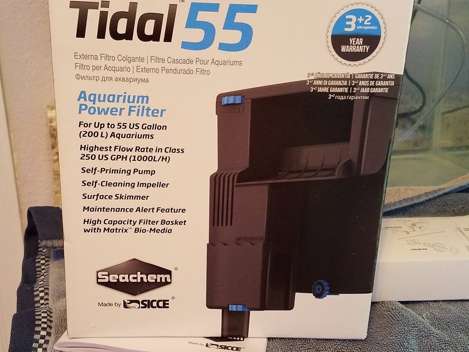 filter-a-jpg.499234