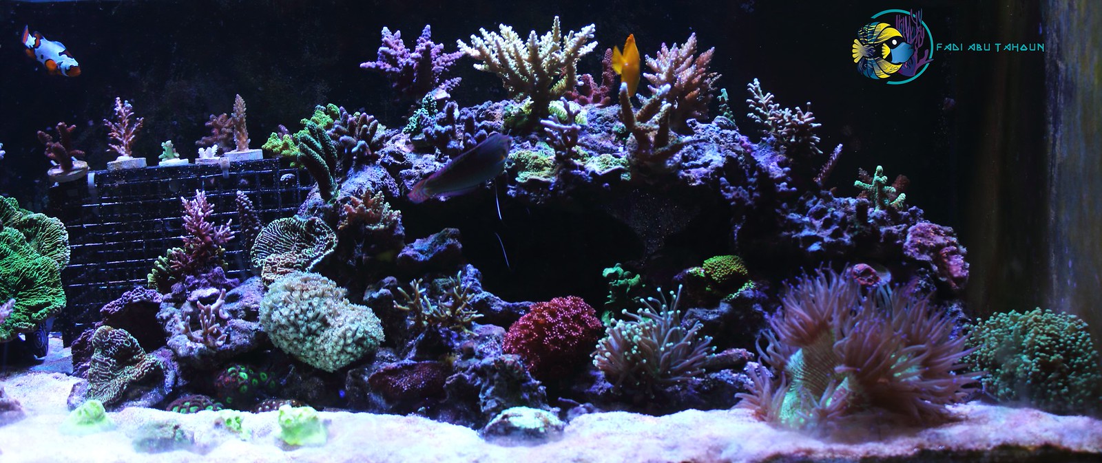 33937075975_7005a255f1_h.jpg