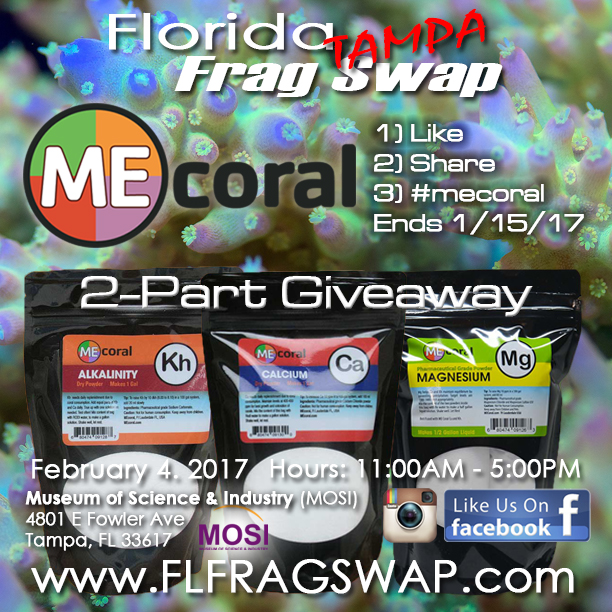 mecoral.jpg