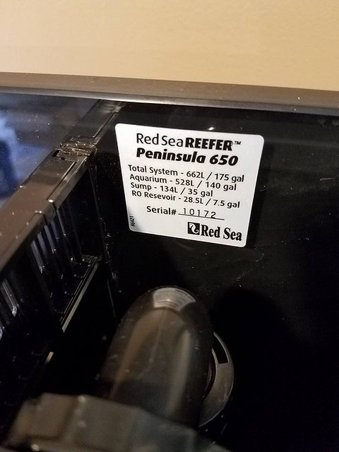 38385633012_15c8b07375_z_d.jpg