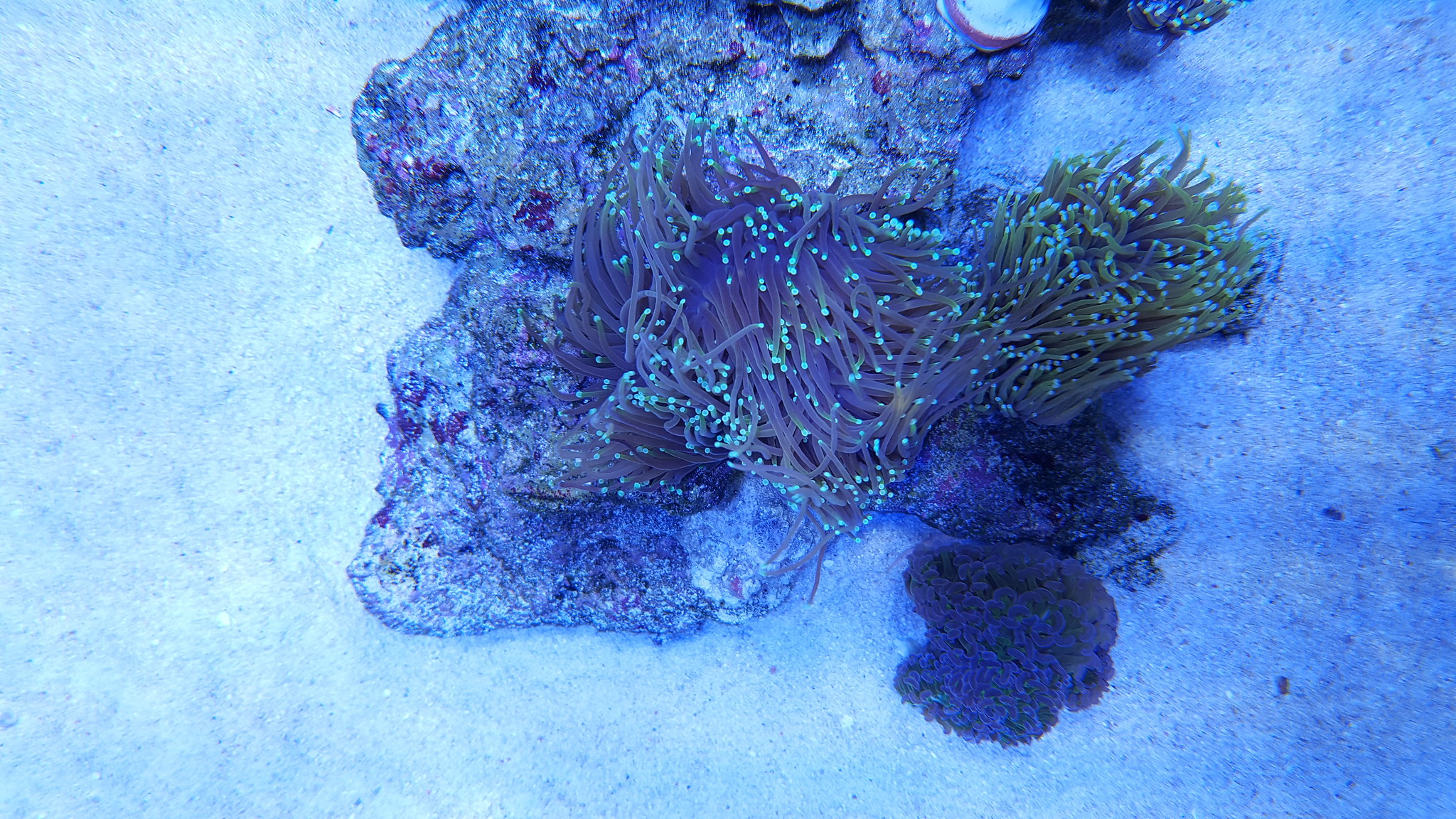 41094544045_a063c8e65b_k.jpg