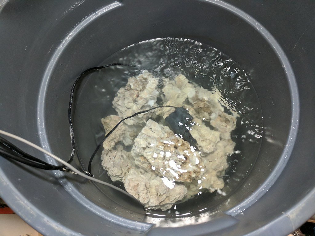 36916164253_468cd7019e_b.jpg