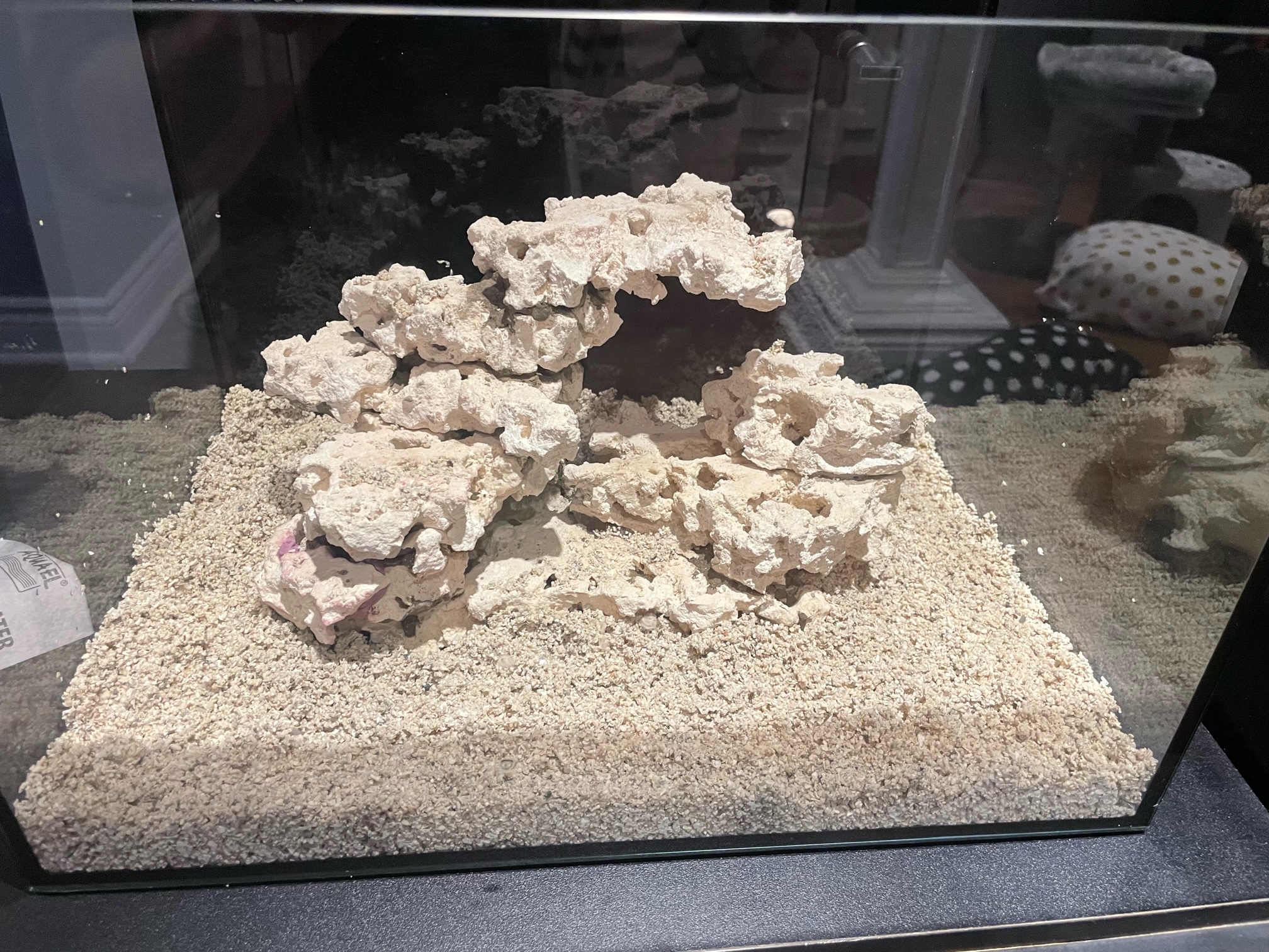 reefcasa.com