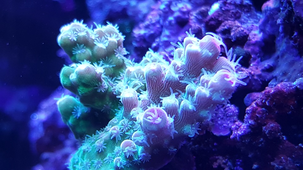 20171211_002557_01.jpg