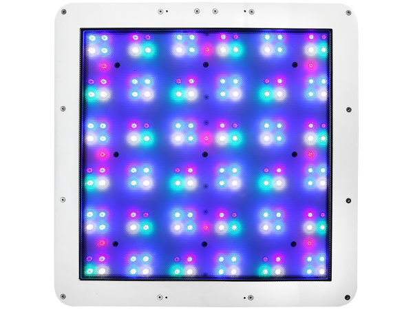straton-led-colors.png
