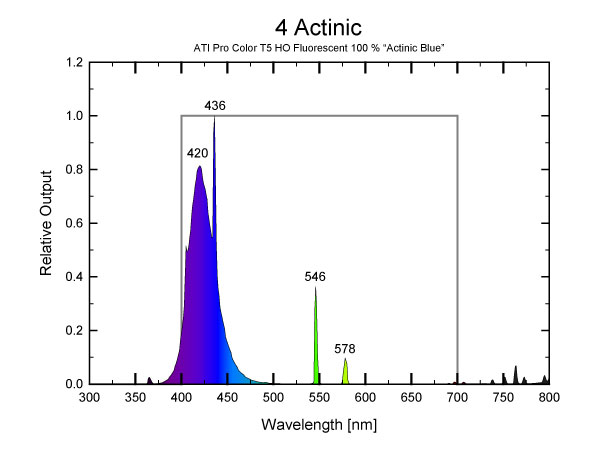 4-actinic.jpg