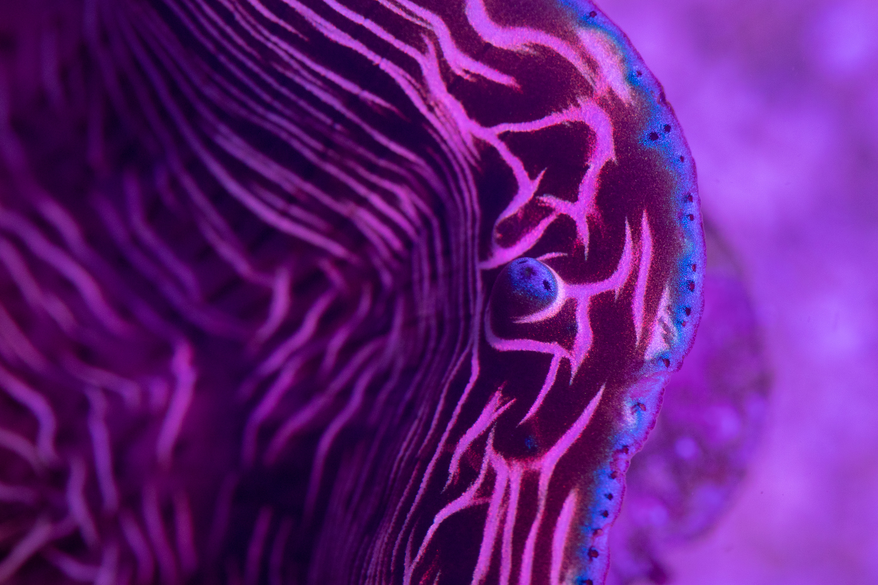 reefsavvy-78.jpg