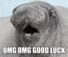 Excited Best Wishes GIF