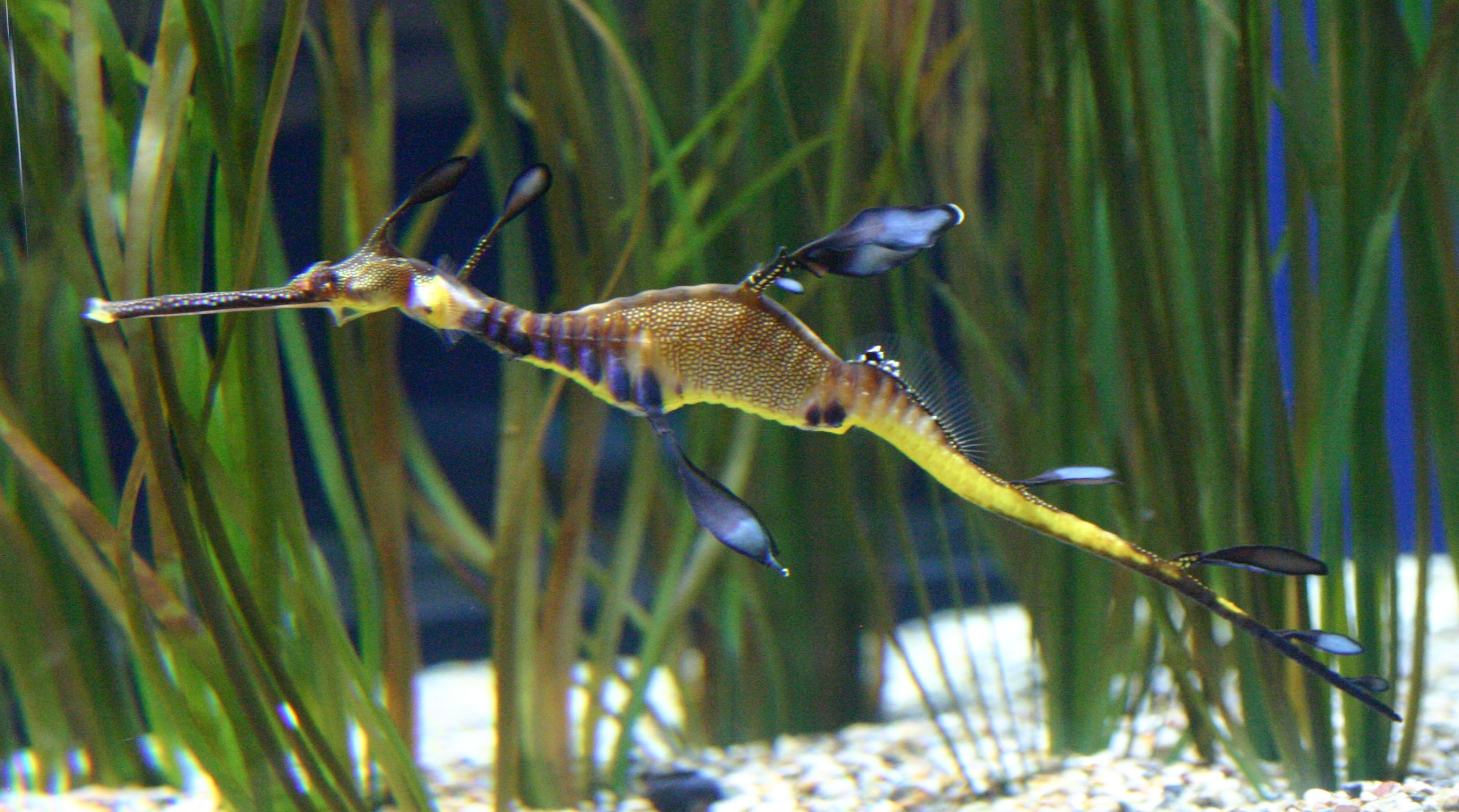 img_6665.jpg