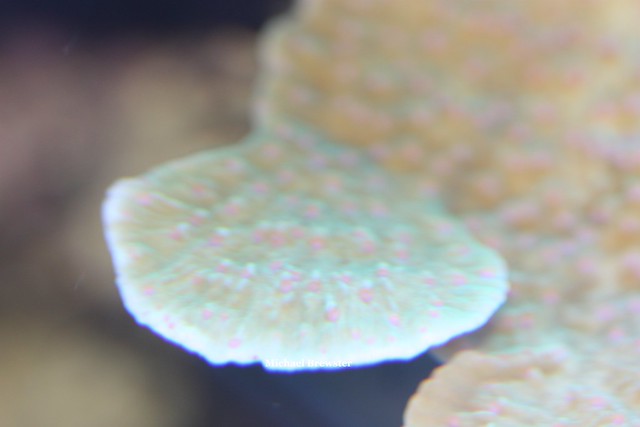 13995595495_16f0713531_z.jpg