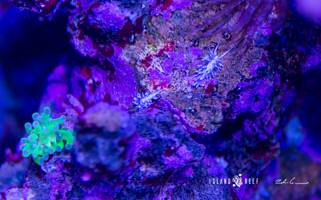 37732015586_a6b9837a95_o.jpg