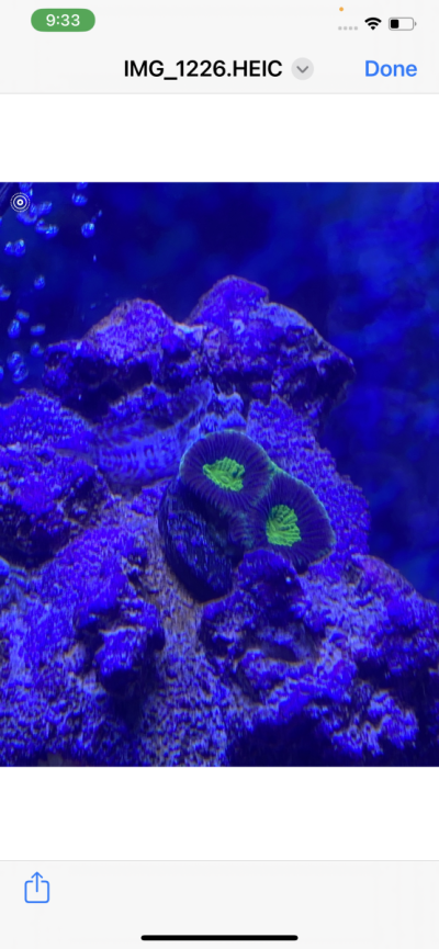 13BF97B1-F646-47AE-AE49-C058B1DE98E7.png