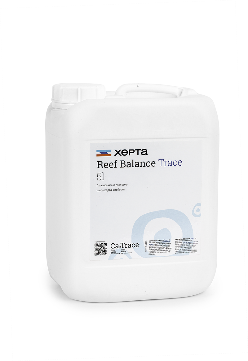 xepta-reef.com