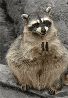 Well Done Laughing GIF